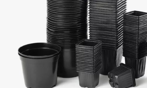 Горшок для рассады: как выбрать идеальный вариант для овощей и цветов