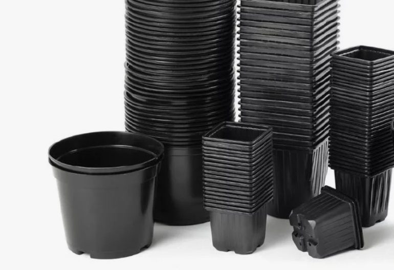 Горшок для рассады: как выбрать идеальный вариант для овощей и цветов